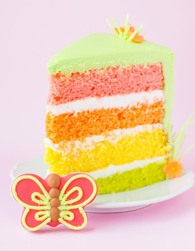 piece of spring cake colored layers