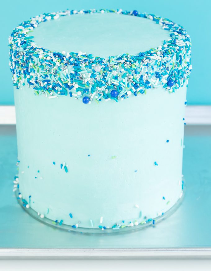 Cake with sprinkles on the sides and top.