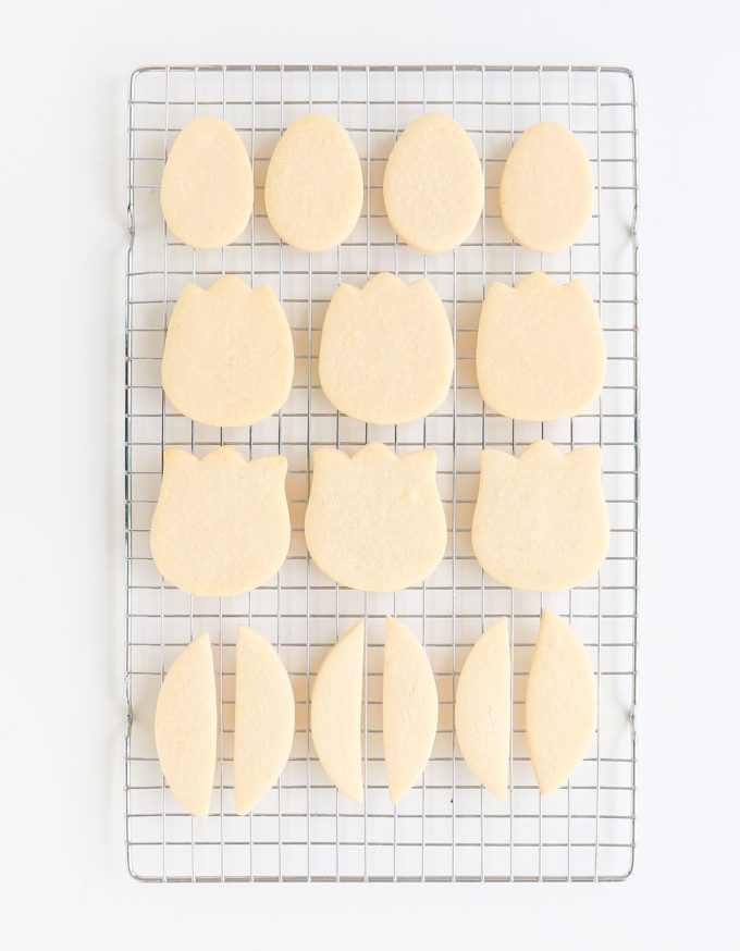 Cutters and tool to make tulip cookies. 