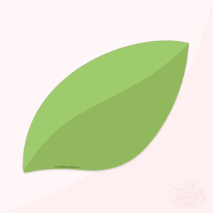 Image of two toned green lemon leaf
