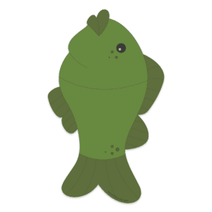 Clipart of a green bass fish with darker green fins.