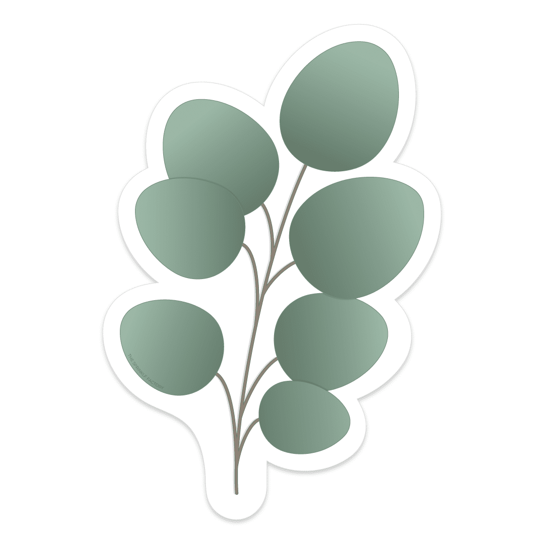 Green eucalyptus leaf with thin brown stem.