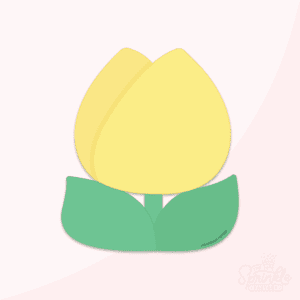 Digital image of yellow tulip with green leaves.