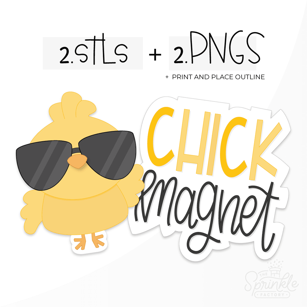 Clipart of a yellow chick with wings and orange feet wearing black sunglasses and Clipart of the stacked words CHICK in yellow above cursive lettering magnet in black.