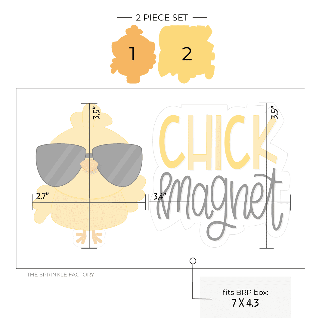 Clipart of a yellow chick with wings and orange feet wearing black sunglasses and Clipart of the stacked words CHICK in yellow above cursive lettering magnet in black with size guide.
