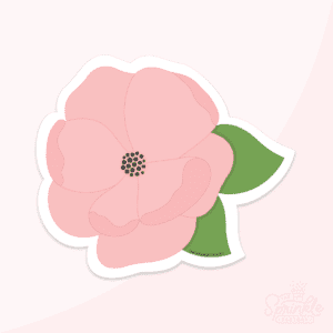 Digital image of a single pink flower with green leaves